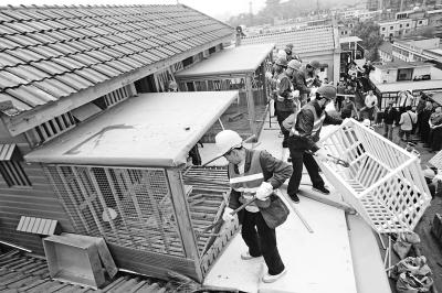 男子花50萬元建鴿子別墅 內(nèi)住價值2000萬元鴿王