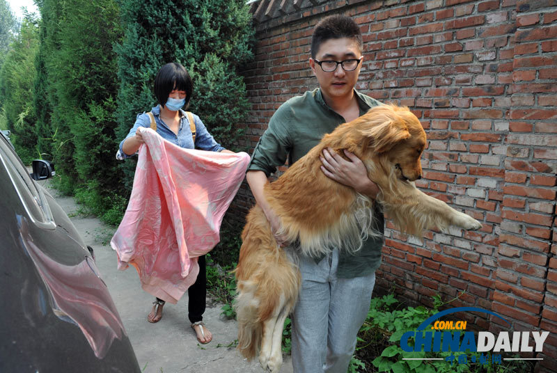 高清：寵物狗航空托運死亡 數(shù)十愛心人士送別