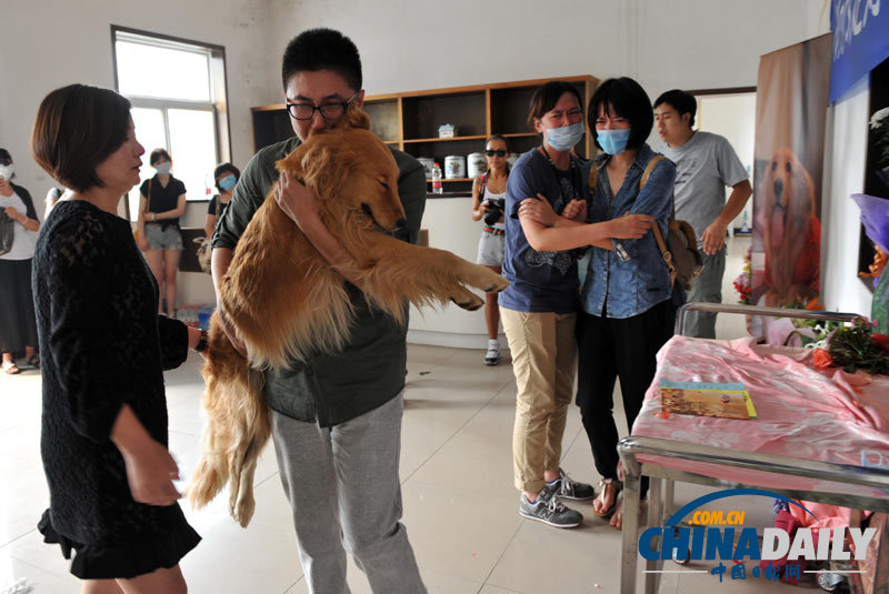 高清：寵物狗航空托運(yùn)死亡 數(shù)十愛心人士送別