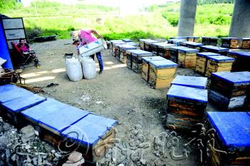 留守娃的甜蜜暑假(組圖)