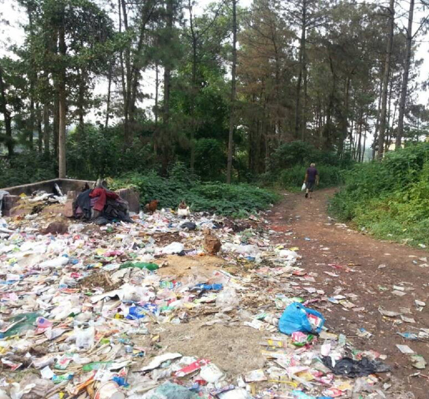 高清:網(wǎng)曝四川一森林公園成垃圾山 滋生大量蒼蠅