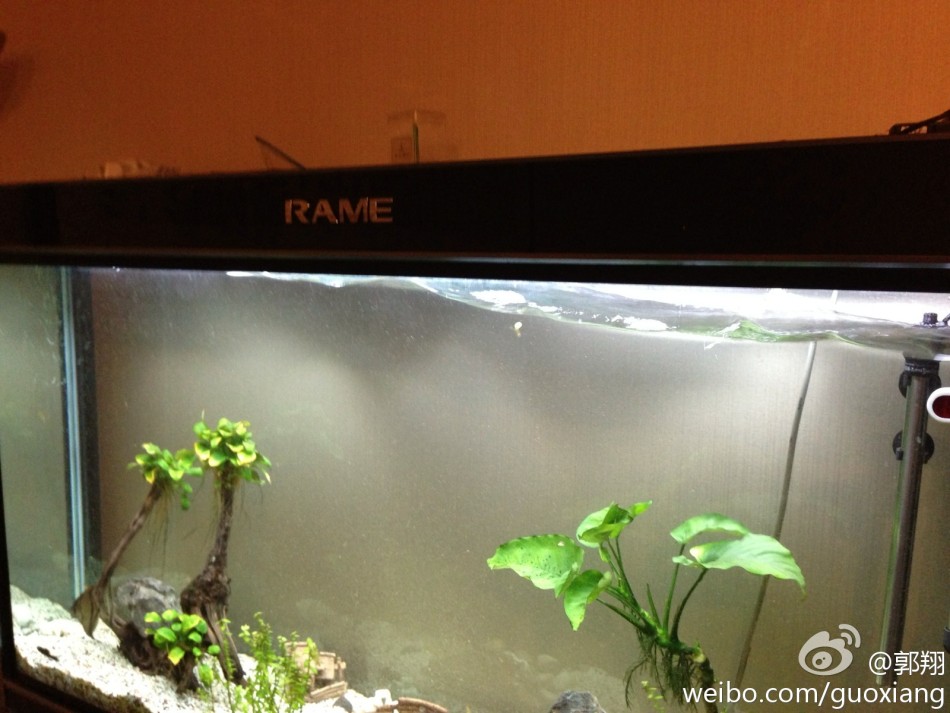 甘肅定西岷縣附近發(fā)生6.6級左右地震 居民下樓躲避