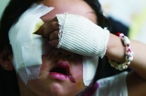 農(nóng)業(yè)部官員：中國(guó)將不允許私人繁殖狗進(jìn)行買賣