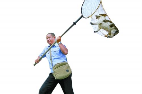 洛陽搞集中執(zhí)法狗患卻加重 市民不滿犬主有怨言