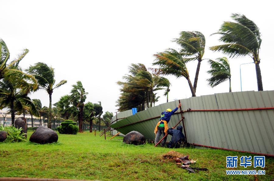 強(qiáng)熱帶風(fēng)暴“飛燕”登陸海南 街邊大樹被連根拔起