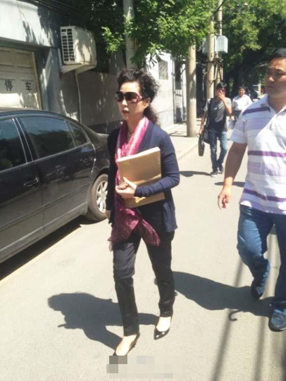 夢(mèng)鴿向公安部信訪辦公室遞交相關(guān)資料(圖)