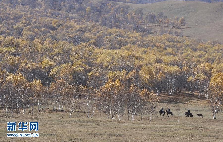 2013年國慶黃金周游客量達3124.51萬人次