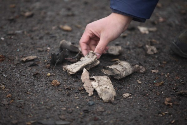 河南連霍大橋垮塌致10死 9個月未公布處理結(jié)果