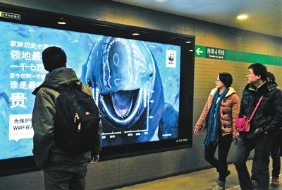 地鐵公益廣告引爭(zhēng)議 微笑江豚地鐵海報(bào)算不算嚇人