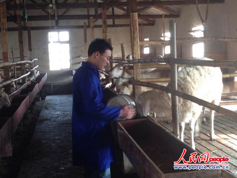 人民網(wǎng)記者新春走基層 大學(xué)生“羊倌”的創(chuàng)業(yè)夢想