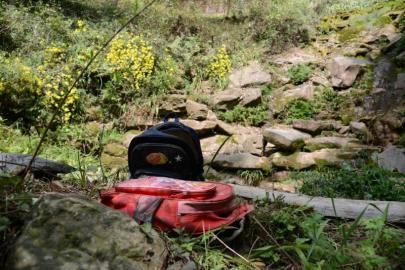 四川農(nóng)婦將2名孩童扔下懸崖續(xù):當(dāng)?shù)睾⒆硬桓易呃下?/></p>

<p align=