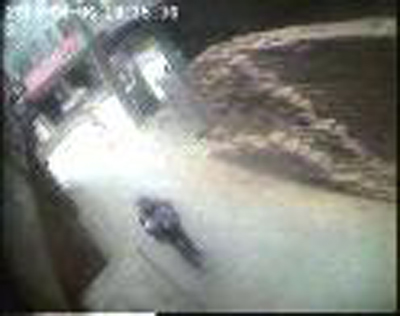 西安一8個月大男嬰被“熟人”房客抱走后失聯(lián)