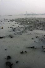 民間環(huán)保組織:27家蘋(píng)果供應(yīng)商涉嫌違規(guī)排放