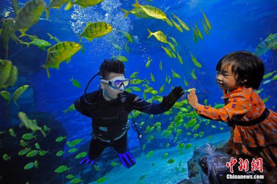 天津游客夜宿海洋館 體驗與魚共眠（全文）