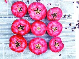 地球正在經(jīng)歷第6次物種大滅絕？