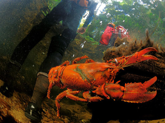 國家地理一周精選圖片