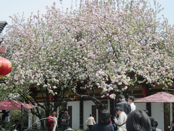 相聚大唐博相府 “穿越時(shí)空”感受大唐盛世文化