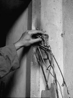 組圖：珍貴黑白老照片披露希特勒自殺地堡