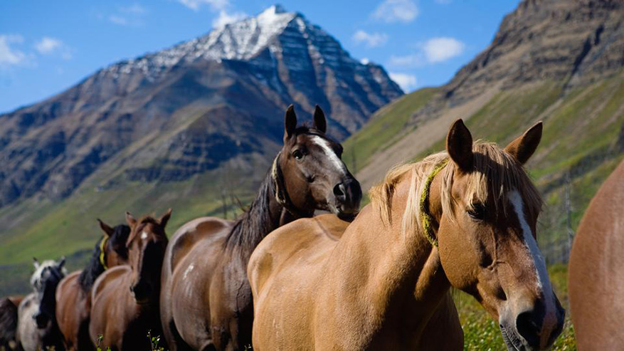 不列顛哥倫比亞的自然天堂