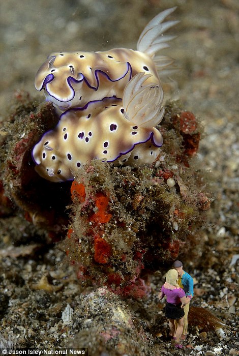 趣味攝影:水底小人國世界(組圖)