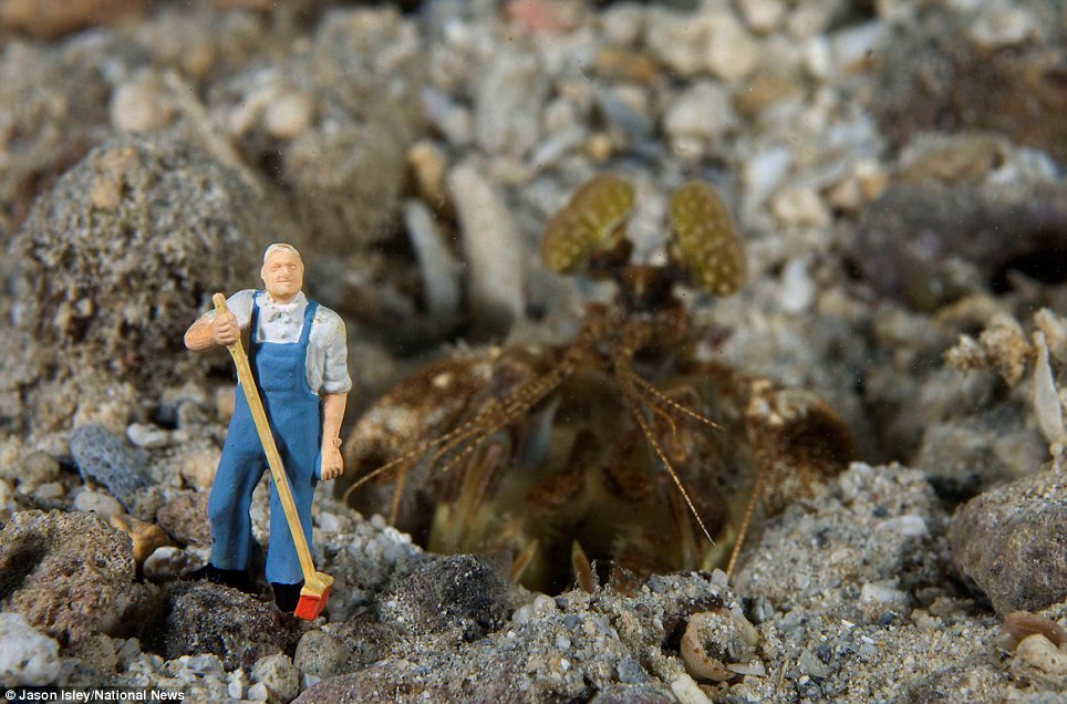 趣味攝影:水底小人國(guó)世界(組圖)