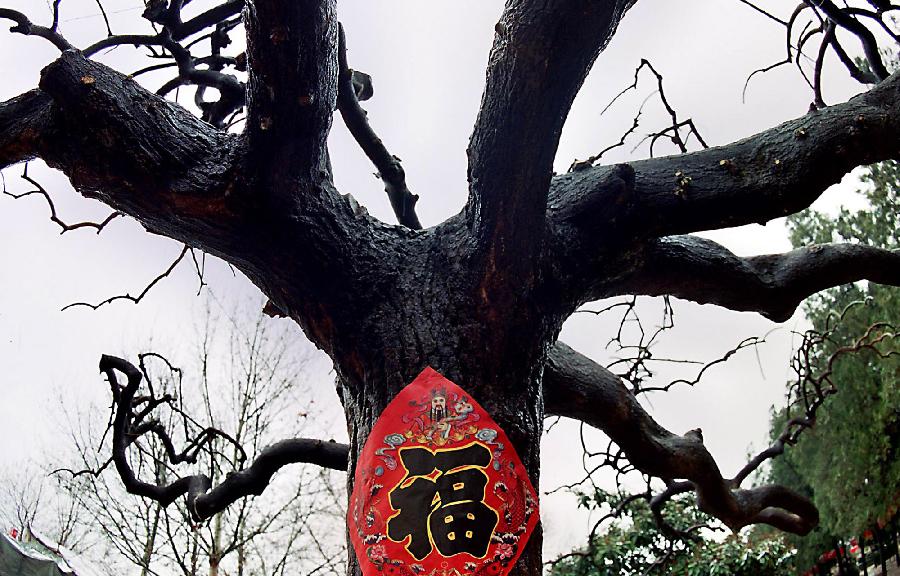 中原地區(qū)春節(jié)習(xí)俗面面觀