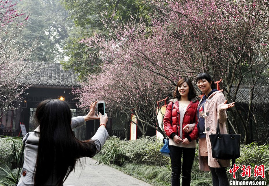 立春時節(jié)民眾著唐裝在甫草堂賞梅花