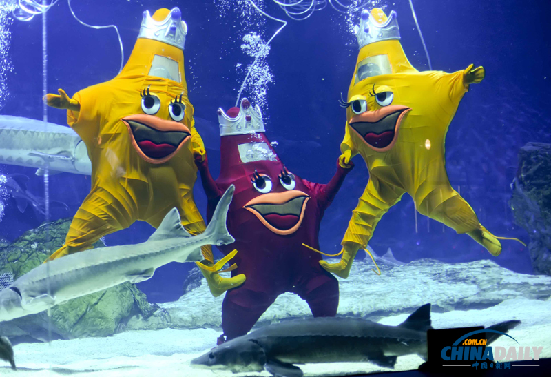 國(guó)內(nèi)首次水下人偶style亮相北京海洋館