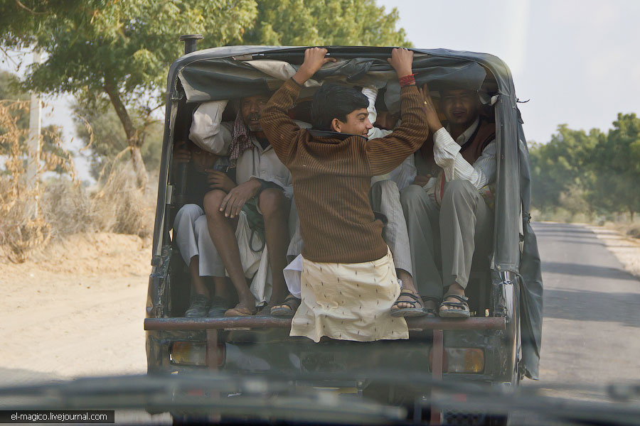 駭人！世界奇怪廟宇之印度“老鼠廟”