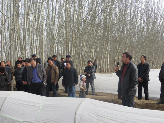 將“雙膜”種植技術(shù)進(jìn)行到底