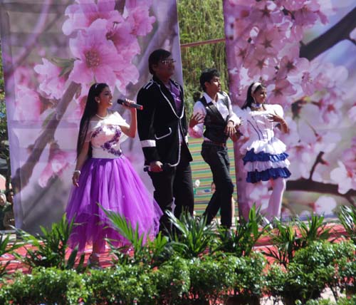 石河子大學(xué)外國留學(xué)生獻(xiàn)藝“第七屆國際桃花節(jié)”