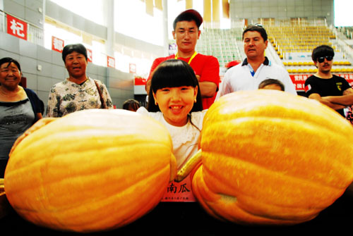 大南瓜博眾人關(guān)注