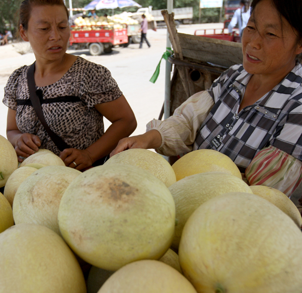 烏爾禾魔鬼城邊瓜滯銷(xiāo)