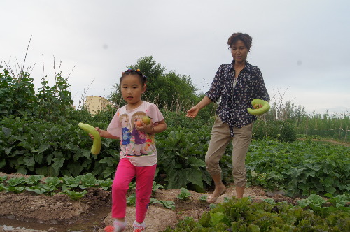 新疆兵團第六師共青團農(nóng)場旅游業(yè)大放光彩