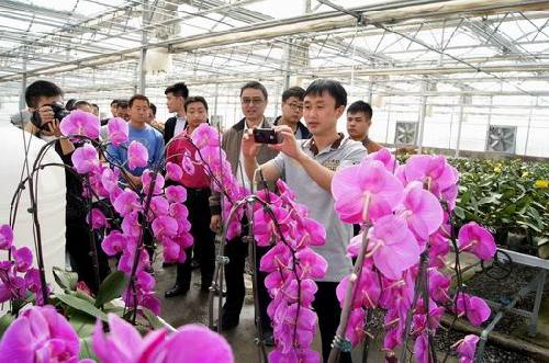 新疆兵團(tuán)第六師共青團(tuán)農(nóng)場旅游業(yè)大放光彩