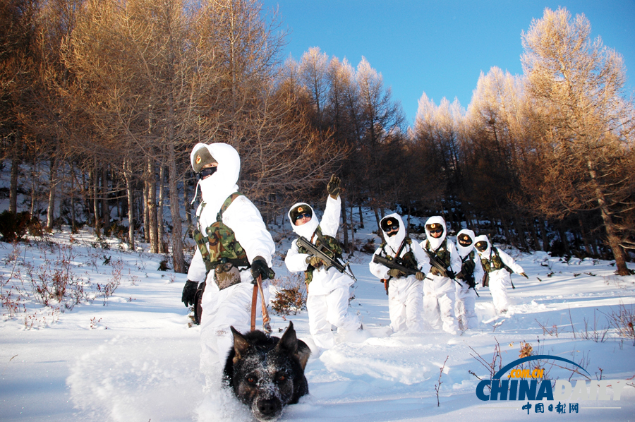 雪域衛(wèi)士以忠誠(chéng)喜迎元旦佳節(jié)