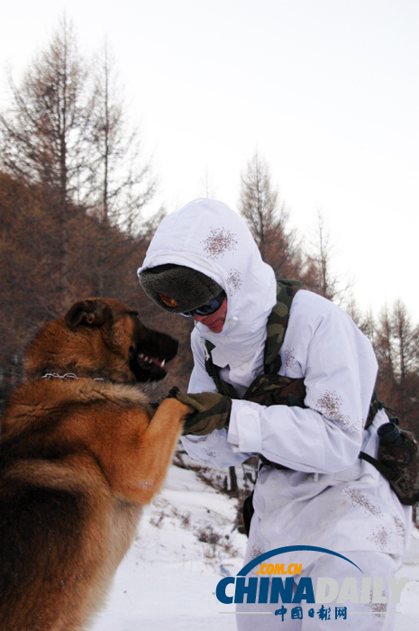 雪域衛(wèi)士以忠誠喜迎元旦佳節(jié)