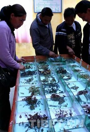 珠峰自然保護(hù)區(qū):環(huán)保卓有成效 環(huán)境風(fēng)貌依舊