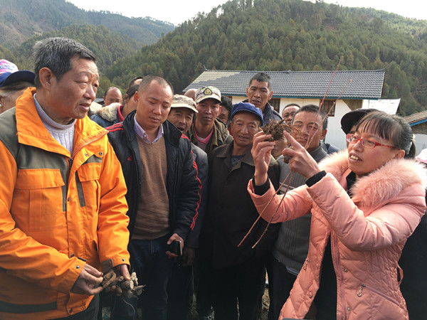 云南白藥精準(zhǔn)扶貧惠及維西687貧困戶