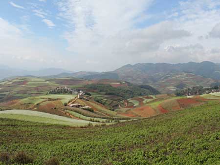 昆明東川紅土地榮膺“中國十佳最美風(fēng)情小鎮(zhèn)”
