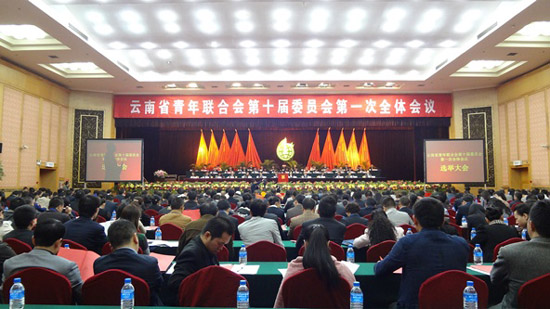 云南省青年聯(lián)合會(huì)十屆一次全體會(huì)議在昆明召開