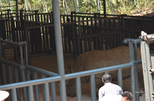再見犀牛 一路順風