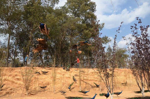 云南野生動物園玩轉(zhuǎn)五一