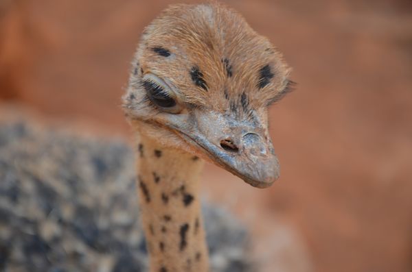 誰去參加五一巡游 誰去和小朋友一起過五一 市民來選！