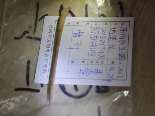 “滇文化起源”項(xiàng)目取得新突破