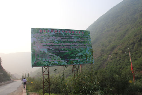 云南彝良花椒產(chǎn)業(yè)結(jié)碩果