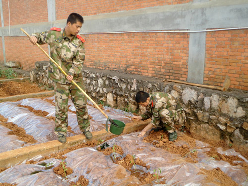 大愛奉獻(xiàn)給人民:追記捐獻(xiàn)器官的武警云南省總隊(duì)紅河州支隊(duì)?wèi)?zhàn)士李杰