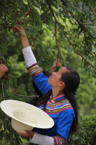 清明小長(zhǎng)假 北標(biāo)園玩場(chǎng)多