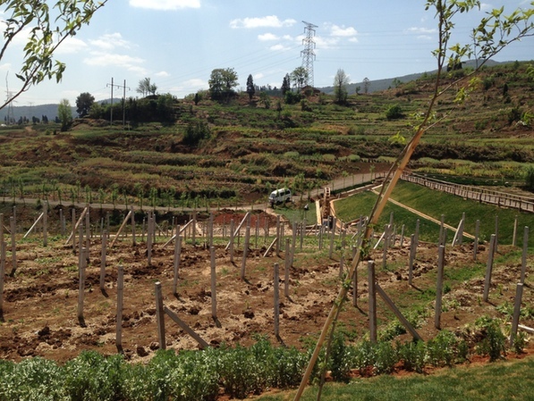 云南力推莊園經(jīng)濟(jì) 振峰農(nóng)莊“種出健康”