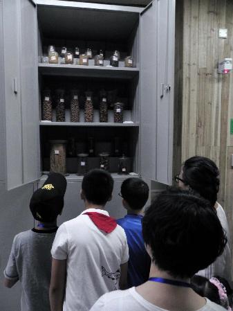 浙江自然博物館舉行庫(kù)房開(kāi)放日活動(dòng)